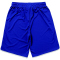 MIKASA Beachvolleyball Trainingsshorts Herren BL - blue S