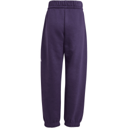 adidas Essentials Jogginganzug Kinder