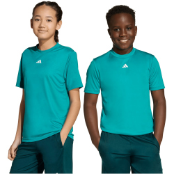 adidas Train Essentials Logo Regular Fit Trainingsshirt Kinder