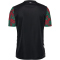 hummel 1. FC Magdeburg Ausweichtrikot 2025/26