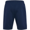 hummel 1. FC Köln Fanshorts 2025/26 Herren