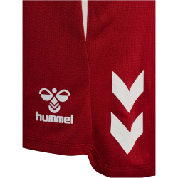 hummel 1. FC Köln Trainingsshorts 2025/26
