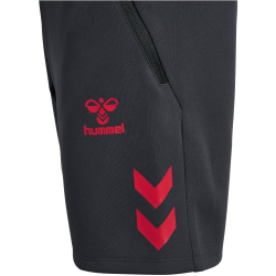 hummel 1. FC Köln Travelshorts 2025/26 Kinder