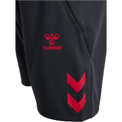 hummel 1. FC Köln Travelshorts 2025/26