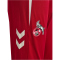 hummel 1. FC Köln Trainingshose 2025/26 Kinder