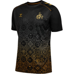 hummel 1. FC Köln Dom-Aufwärmshirt 2025/26