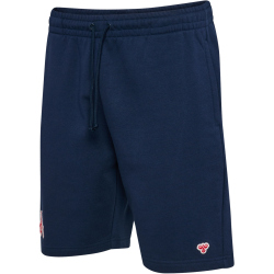 hummel 1. FC Köln Fanshorts 2025/26 Herren 7459 -...