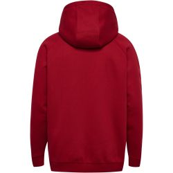hummel 1. FC Köln Oversize Fan-Hoodie 2025/26 3062 -...