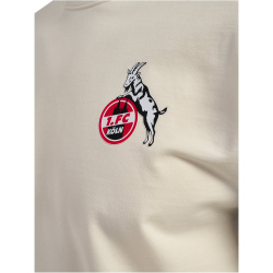 hummel 1. FC Köln Travel Sweatshirt 2025/26 9488 -...