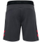 hummel 1. FC Köln Travelshorts 2025/26 Kinder 1525 - asphalt 116