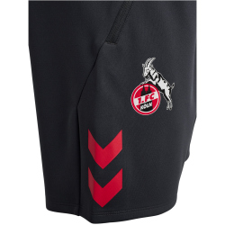 hummel 1. FC Köln Travelshorts 2025/26 1525 - asphalt S