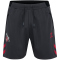 hummel 1. FC Köln Travelshorts 2025/26 1525 - asphalt S