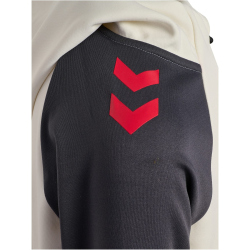 hummel 1. FC Köln Travel Kapuzenjacke 2025/26 Kinder...