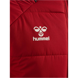 hummel 1. FC Köln Stadionjacke 2025/26 3782 - chili...