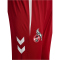 hummel 1. FC Köln Trainingshose 2025/26 3782 - chili pepper L