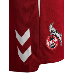 hummel 1. FC Köln Trainingsshorts 2025/26 3782 -...