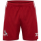 hummel 1. FC Köln Trainingsshorts 2025/26 3782 - chili pepper S