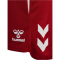 hummel 1. FC Köln Trainingsshorts 2025/26 3782 - chili pepper S