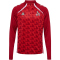 hummel 1. FC Köln langarm 1/2-Zip Aufwärmshirt 2025/26 3062 - true red S