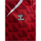 hummel 1. FC Köln langarm 1/2-Zip Aufwärmshirt 2025/26 3062 - true red S