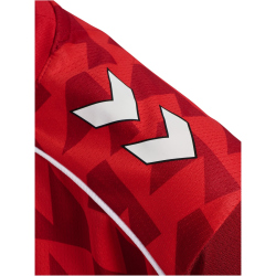 hummel 1. FC Köln Aufwärmshirt 2025/26 Kinder...