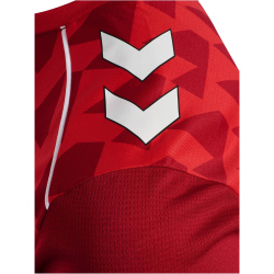 hummel 1. FC Köln Dom-Aufwärmshirt 2025/26 3062 - true red M