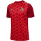 hummel 1. FC Köln Dom-Aufwärmshirt 2025/26 3062 - true red M