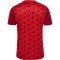 hummel 1. FC Köln Dom-Aufwärmshirt 2025/26 3062 - true red M