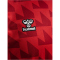 hummel 1. FC Köln Dom-Aufwärmshirt 2025/26 3062 - true red M