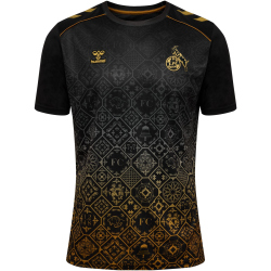 hummel 1. FC Köln Dom-Aufwärmshirt 2025/26 2001...