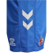 hummel 1. FC Köln Torwartshorts 2025/26 7545 - super sonic M