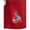 hummel 1. FC Köln Auswärtsshorts 2025/26 3062 - true red XXL