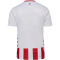 hummel 1. FC Köln Heimtrikot 2025/26 9402 - white/true red XS