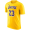 NIKE LA Lakers LeBron James NBA T-Shirt Herren 734 - amarillo/james lebron 23 S