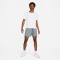 NIKE Stride Dri-FIT 5" Brief-Lined Laufshorts Herren 084 - smoke grey/black/reflective silv XS