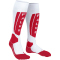 FALKE SK5 Expert Skisocken Herren 2088 - ff-mat 39-41