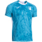 JOMA TSG 1899 Hoffenheim Auswärtstrikot 2025/26
