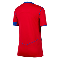 NIKE Paris Saint-Germain Dri-FIT Stadium Ausweichtrikot Kinder
