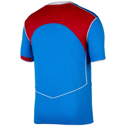 NIKE Atlético Madrid Dri-FIT Stadium Ausweichtrikot Herren