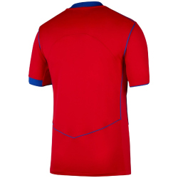 NIKE Paris Saint-Germain Dri-FIT Stadium Ausweichtrikot Herren