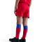 NIKE Paris Saint-Germain Dri-FIT Stadium Ausweich-Minikit Kinder 680 - global red/sport red/hyper royal XS (98-104 cm)