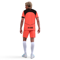 NIKE FC Barcelona Dri-FIT Stadium Ausweichshorts Herren...