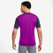 NIKE FC Barcelona Dri-FIT Strike kurzarm Trainingsshirt Herren 552 - vivid purple/midwest gold M