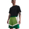 NIKE Icon 6" Dri-FIT Woven Basketballshorts Herren 350 - chlorophyll/pale ivory/pale ivory L