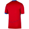 NIKE Paris Saint-Germain Dri-FIT Stadium Ausweichtrikot Herren 680 - global red/sport red/hyper royal M