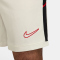 NIKE Academy Dri-FIT Fußball Shorts Herren 133 - sail/black/university red S