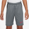 NIKE Academy 25 Dri-FIT Shorts Kinder 066 - cool grey/black/bright crimson S (128-137 cm)