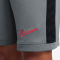 NIKE Academy 25 Dri-FIT Shorts Kinder 066 - cool grey/black/bright crimson S (128-137 cm)