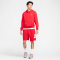 NIKE Club Alumni Fitnessshorts Herren 657 - university red/university red/white XXL