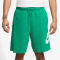NIKE Club Alumni Fitnessshorts Herren 324 - stadium green/stadium green/white M